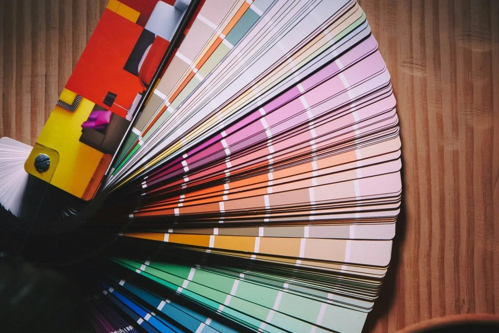 Choose Your Color Palette